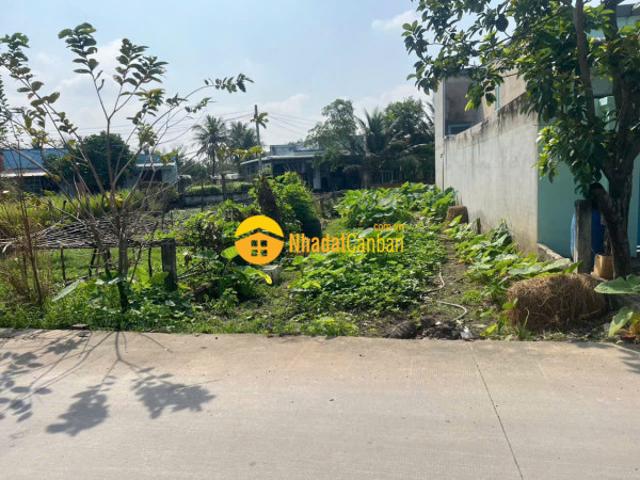 Bán đất thổ cư sau chợ hòa khánh nam, đường beton 4m dt 100m2 giá 1 tỷ