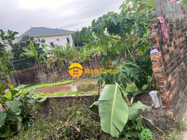 Bán đất thổ cư 100m2, kinh doanh tốt, trục chính thôn sài sơn, quốc oai
