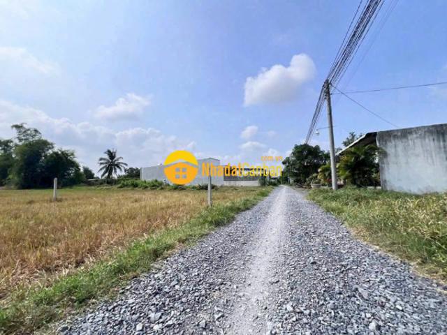 Bán đất thổ lúa xã đức hòa thượng tdt 1180m2 175m2 thổ đường đá xanh giá 2,15 tỷ