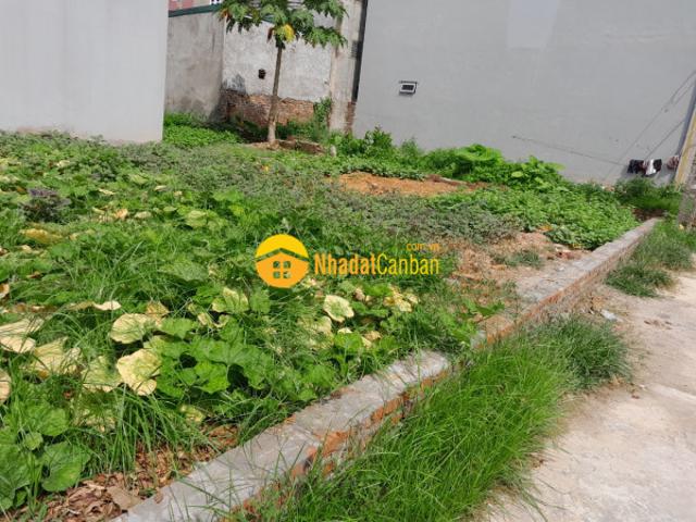 Bán đất trục chính kinh doanh xã quang tiến, kcn nội bài sóc sơn, lô 115m2 mt 15m