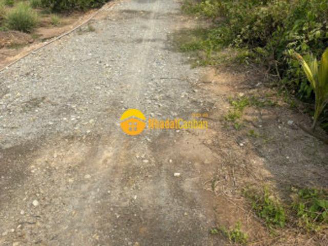 Bán đất vườn vuông vức đường xe oto đá xanh xã lương hòa dt 4800m2 giá 8,3 tỷ