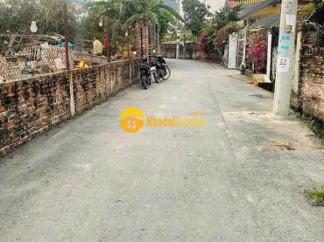 Bán đất xã mão điền thuận thành bắc ninh