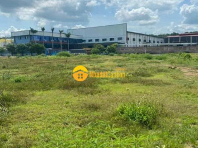 Bán đất xây dựng kho xưởng tại phường tân hiệp, thành phố tân uyên, tỉnh bình dương