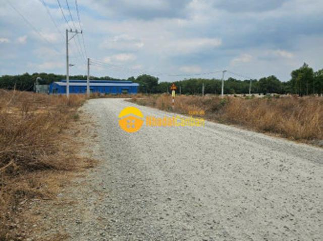 Bán đất xây dựng kho xưởng tại xã vĩnh tân, thành phố tân uyên, bình dương