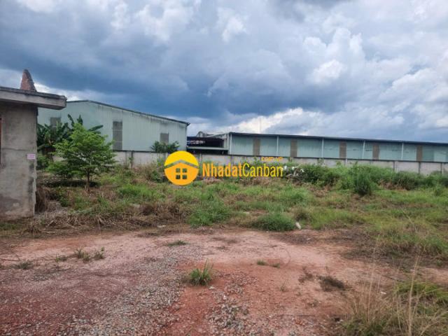 Bán đất xây dựng kho xưởng tại xã long nguyên, huyện bàu bàng, bình dương