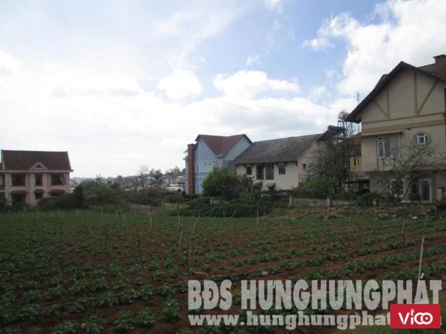 Bán đất biệt thự MT đường Xô Viết Nghệ Tính, Phường 7, TP. Đà Lạt, Lâm Đồng