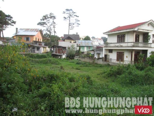 Bán đất biệt thự đường Nguyễn An Ninh, Phường 6, TP. Đà Lạt, Lâm Đồng