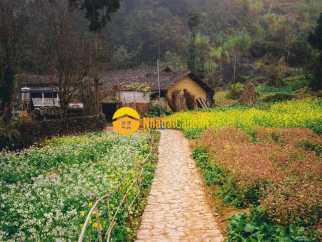 Bán đất cô tô mảnh đất lưng tựa núi ngay khu 4 trung tâm thị trấn cô tô giá vip