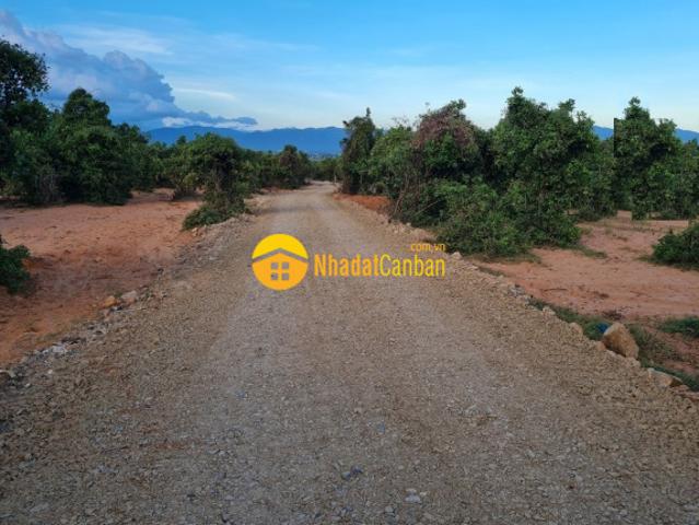Bán đất hòa thắng cách dt716 300m giá đầu tư sinh lời ngay