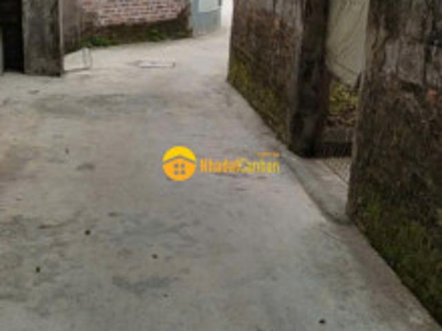 Bán đất huyện ninh giang, hải dương, dt 407m2 sổ đỏ 1.6 tỷ. Lh0375740