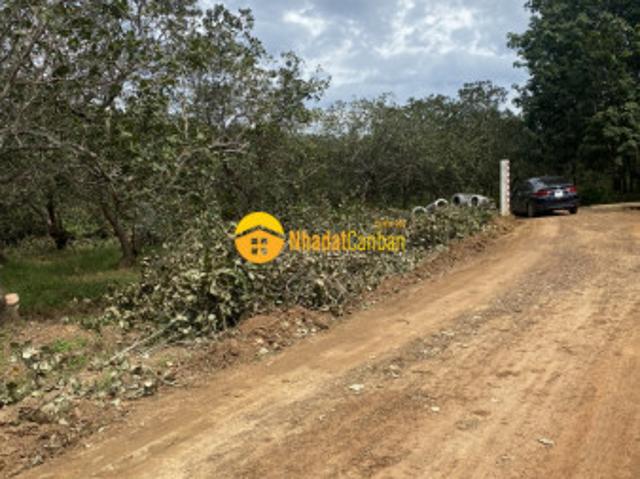 Bán đất kcn tân hưng hớn quản bình phươc