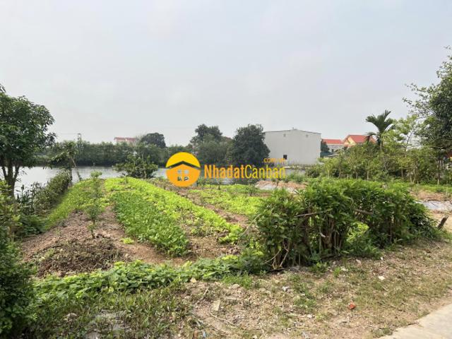 Bán đất khu khuê chiền, tân hưng, tp hd, 100m2, mặt tiền 5m, hậu 5m, đường to rộng