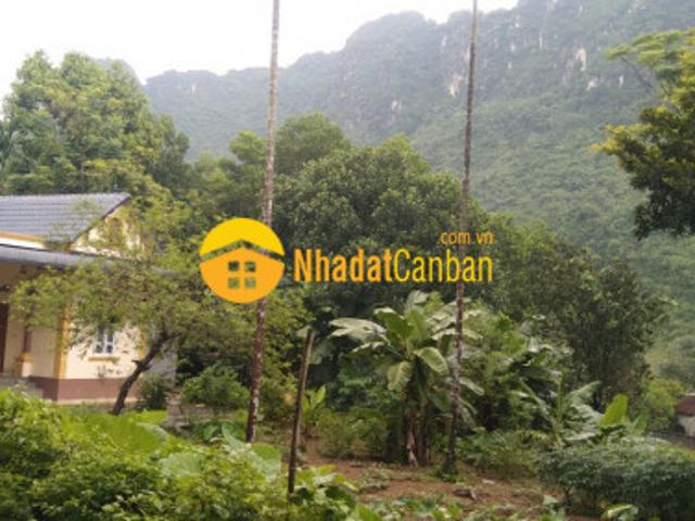 Bán đất lương sơn, hòa bình 1730m2, giá 2,65 tỷ