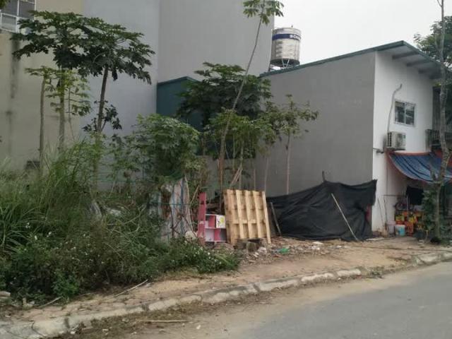 Bán đất LK Lê Xuân Điệp, kinh doanh, vị trí đỉnh, 50m2, giá 5.7 tỷ