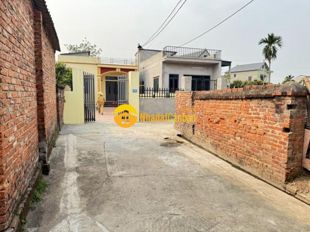 Bán đất lô góc đẹp hoàng dương, mai đình, sóc sơn, hà nội