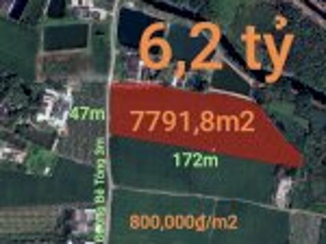 Bán Đất Lúa Chuyển Thổ Xã Vàm Cỏ Gần Quốc Lộ 50B Giá 6,2 Tỷ