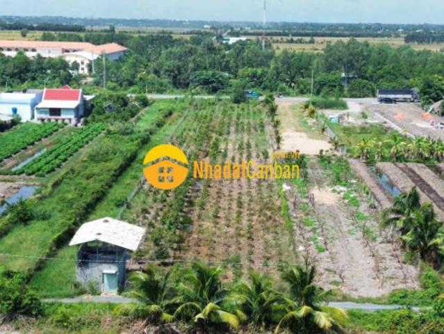 Bán đất mặt tiền tỉnh lộ 818, xã tân thành, huyện thủ thừa dt 1926m2 có 1080m2 thổ giá 7,5 tỷ
