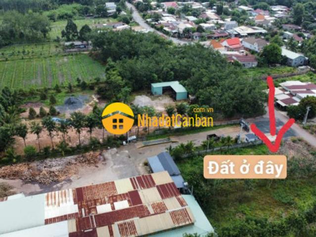 Bán đất minh hoà dầu tiếng liền kề dân cư 600m2 giá chỉ 300tr