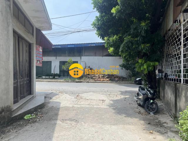 Bán đất ngõ phố triệu quang phục, ph cẩm thượng, tp hd, 4 lô, ngõ thông oto, giá đầu tư