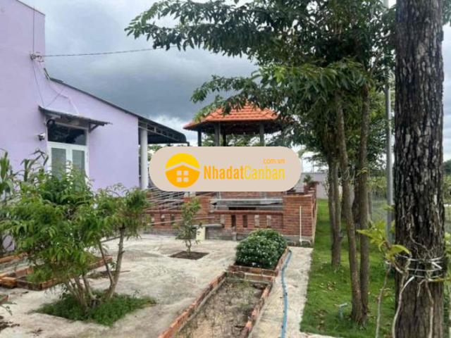Bán đất nghỉ dưỡng quy hoạch về tp phan thiết