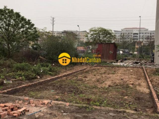 Bán đất phân lô trâu quỳgia lâm, khu tái định cư 7.2ha 60m2 view vườn hoa, giá tốt