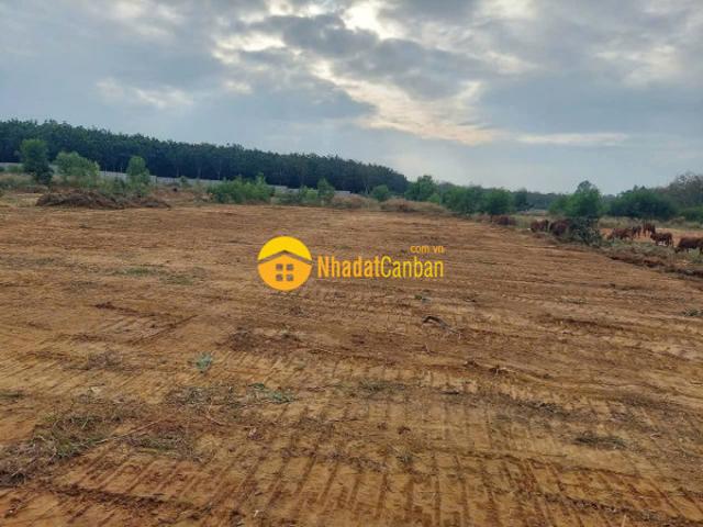 Bán đất skc xây dựng kho xưởng tại huyện phú giáo, tỉnh bình dương cũ
