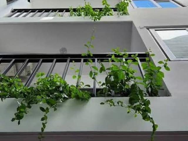 Bán Toà 110M2 Xây Mới 7 Tầng Thang Máy Thuỵ Khuê Tây Hồ Dòng Tiền 130tr/tháng MT 5.05m Dt