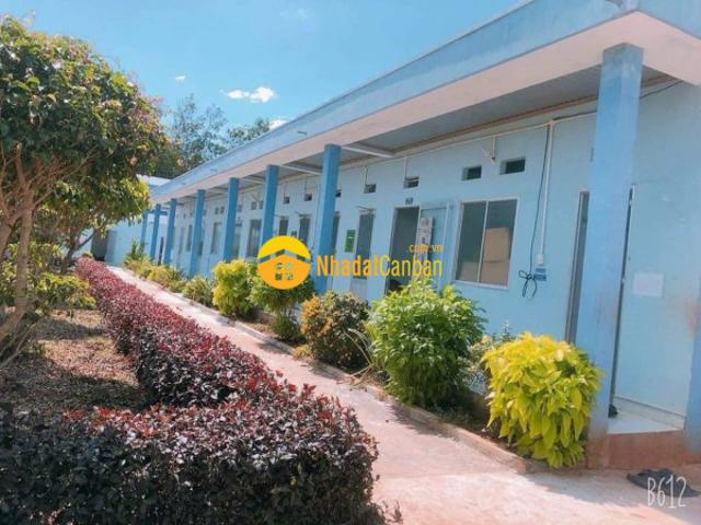 Bán trại heo thịt tại xã phước an, huyện hớn quản, tỉnh bình phước diện tích 10 ha
