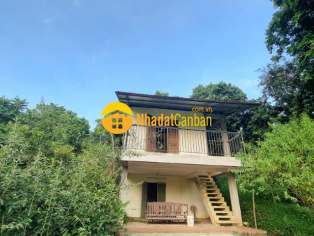 Bán trang trại nghỉ dưỡng 3634m2 view cánh đồng, 2 mặt tiền cách hn 40km giá hơn tr