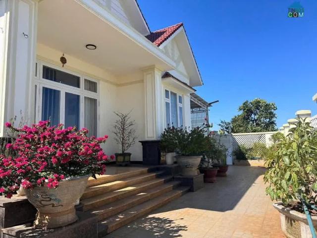 Bán villa sân vườn 1038 m2 thị trấn liên nghĩa đức trọng lâm đồng giá 11 Tỷ