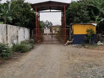 Bananera en venta 102 hectareas prov. Los rios cantón baba ec