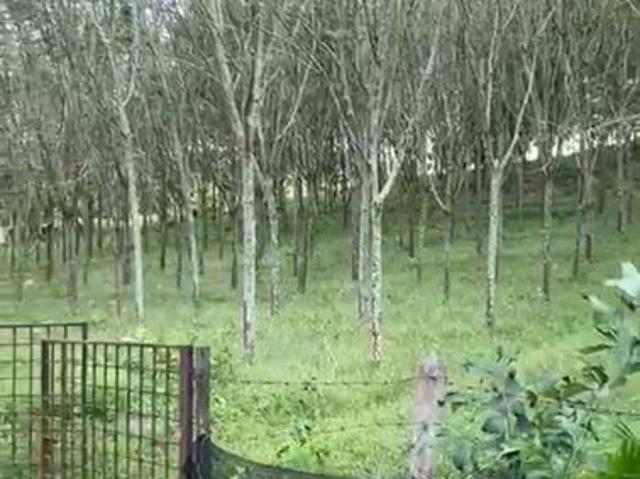 BANDAR BARU ALOR GAJAH