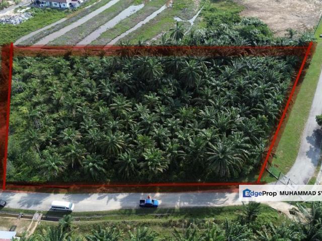 Bandar Baru Salak Tinggi