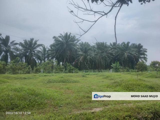 Bandar Baru Salak Tinggi