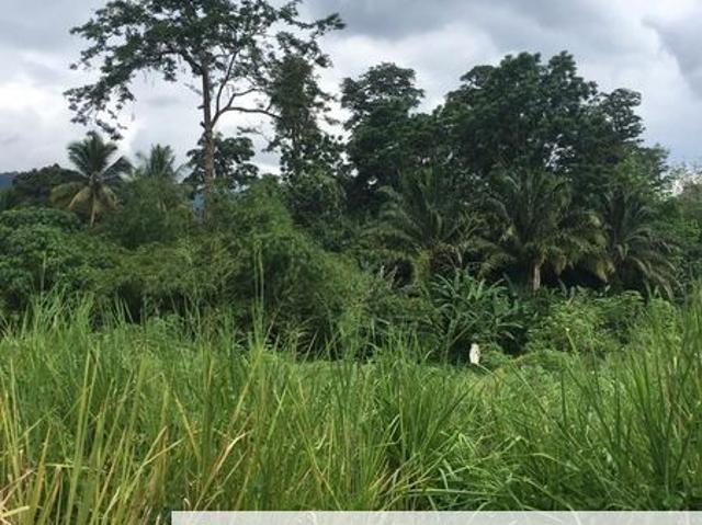Bandar Baru Salak Tinggi