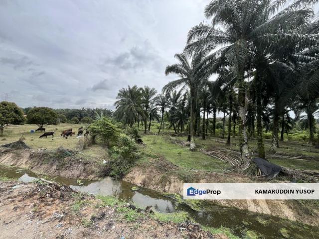Bandar Baru Salak Tinggi
