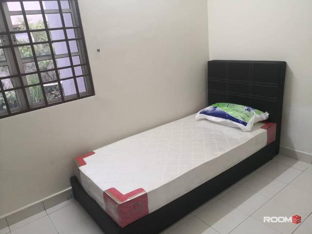 Bandar Bukit Tinggi 2 Single Room For Rent