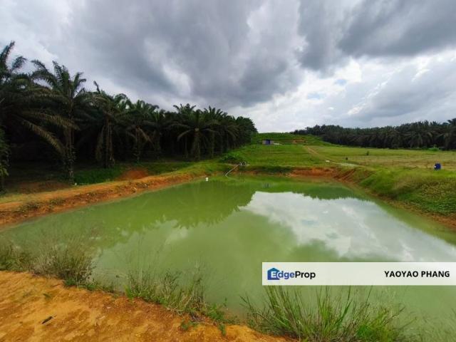 BANDAR KULAI