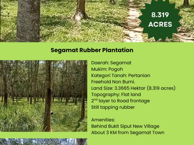 BANDAR SEGAMAT