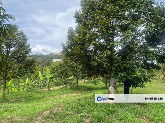 Bandar Raub