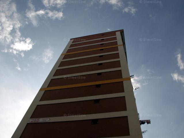 Bangkit Road Bukit Panjang, HDB 3 Rooms