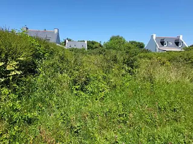 Bangor 56360 Achat / Vente terrain