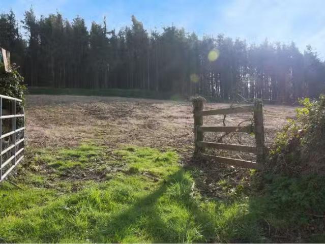 Banogue Hill, Gorey, Gorey, Co. Wexford, Y25R7W1 is for sale