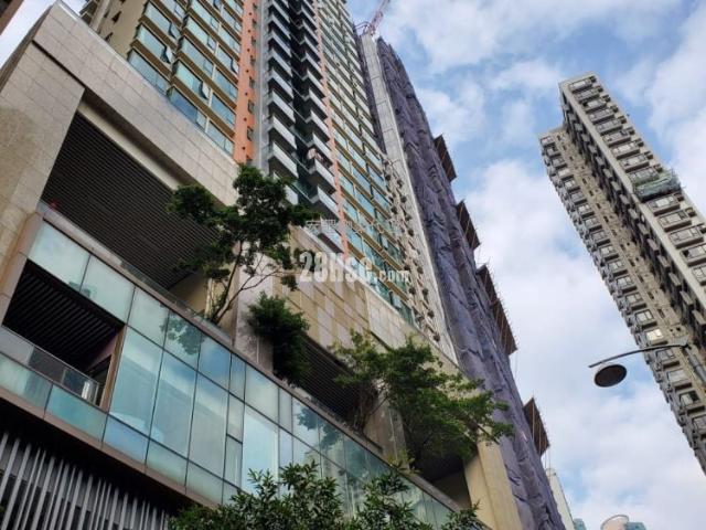 寶雅山 #3802 租盤樓盤詳細資料