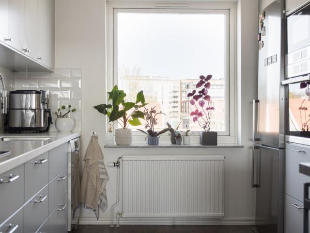 Baazgatan 5 D