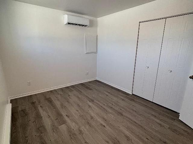 Bachelor 3 1/2 Mirabel