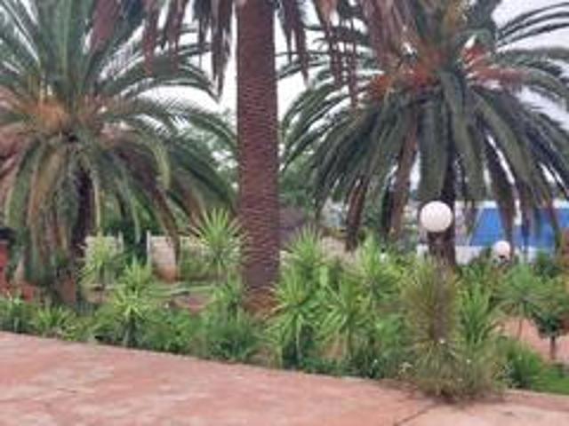 bachelor unit to let