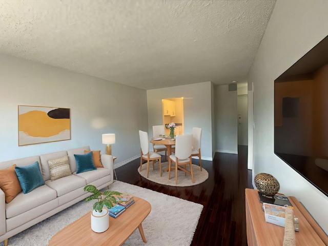 Bachelor Apartment
