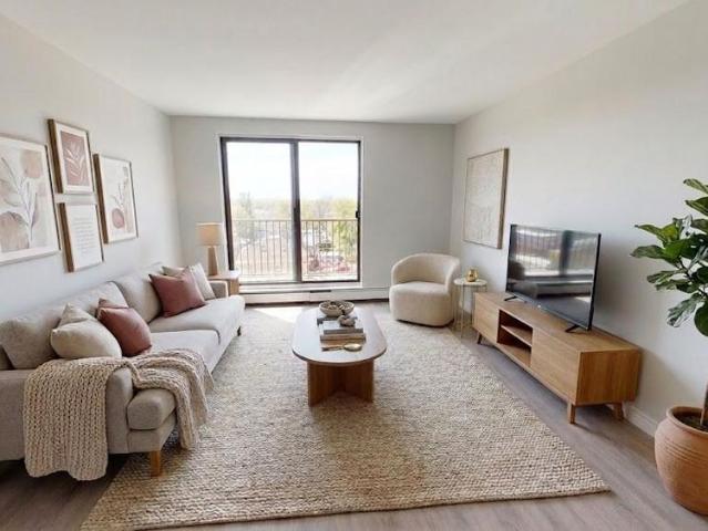 Bachelor Apartment