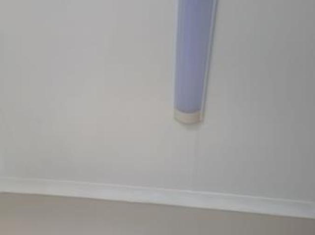 Bachelor apartment in Annadale